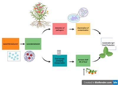 Amelioration in nanobiosensors for the control of plant diseases: current status and future challenges